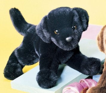 Brewster Black Lab
