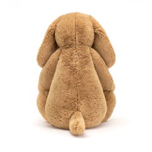 Bashful Toffee Puppy