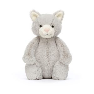 Bashful Grey Kitty