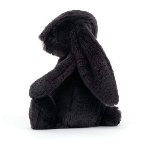 Bashful Inky Bunny