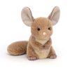 Chandler Chinchilla