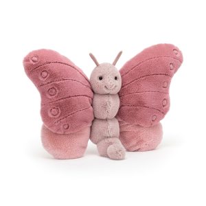 Beatrice Butterfly’s Wild Garden Book and Beatrice Butterfly
